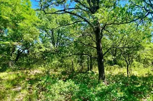 Lot 39 Kilkenny Rd, Poolville, TX 76487 - Photo 1