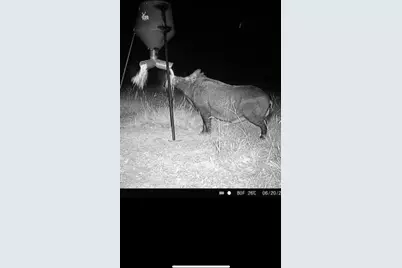 0 Vz County Road 2432, Canton, TX 75103 - Photo 5