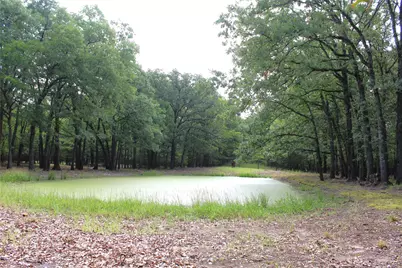 1204 Red Hawk Bay Drive, West Tawakoni, TX 75474 - Photo 11