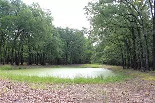 1204 Red Hawk Bay Dr, West Tawakoni, TX 75474 - Photo 11