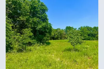 Lot 49 Wicklow Court, Poolville, TX 76487 - Photo 1