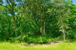 Lot 48 Antrim Ct, Poolville, TX 76487 - Photo 1