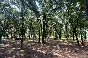 145 Adalida Ln, Springtown, TX 76082 - Photo 27