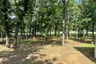 145 Adalida Ln, Springtown, TX 76082 - Photo 29
