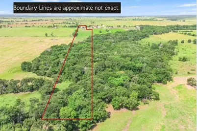 220 Lcr 396, Groesbeck, TX 76642 - Photo 5