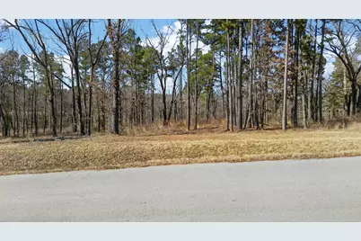 3200 Shadow Pine (Lot 47) Drive, LaRue, TX 75770 - Photo 1