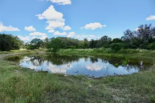 170 Cr 505, Goldthwaite, TX 76844 - Photo 3