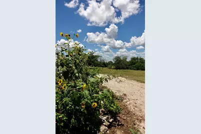 170 Cr 505, Goldthwaite, TX 76844 - Photo 21