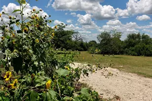 170 Cr 505, Goldthwaite, TX 76844 - Photo 21
