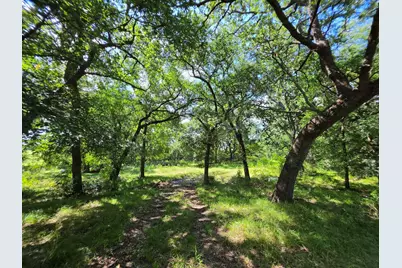 32.243 Acres S Hwy 121 Highway, Bonham, TX 75418 - Photo 29