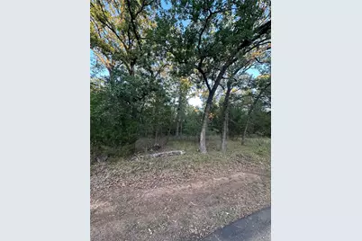 101 Cedar Oaks Drive, Mabank, TX 75156 - Photo 1