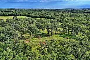 978 Longbranch Rd, Nocona, TX 76255 - Photo 31