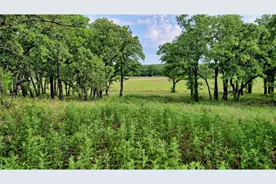 978 Longbranch Road, Nocona, TX 76255 - Photo 5