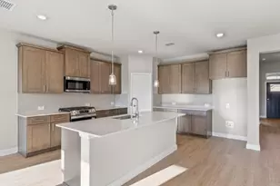 17124 Manzanilla Dr, Justin, TX 76247 - Photo 3