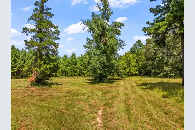 Tbd Fm 1519, Leesburg, TX 75451 - Photo 9