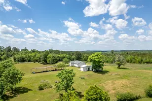 8869 Co Rd 1617, Avinger, TX 75630 - Photo 27