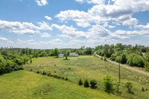 8869 Co Rd 1617, Avinger, TX 75630 - Photo 29