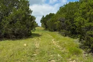 3828 W Fm 219, Hico, TX 76457 - Photo 3