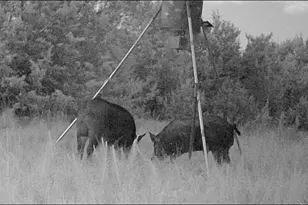 3828 W Fm 219, Hico, TX 76457 - Photo 11