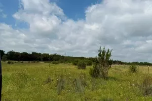 3828 W Fm 219, Hico, TX 76457 - Photo 29