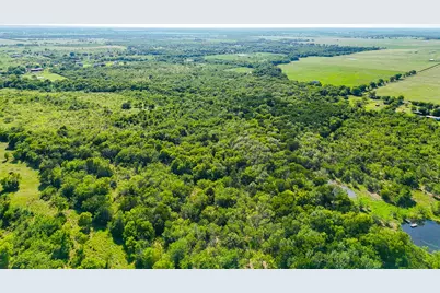 Tbd NE Cr 2035, Kerens, TX 75144 - Photo 9