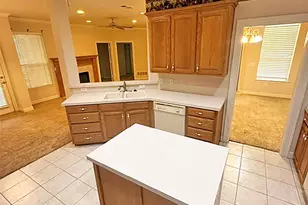 1113 Ellison Park Cir, Denton, TX 76205 - Photo 3