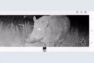 3828 W Fm 219, Hico, TX 76457 - Photo 7