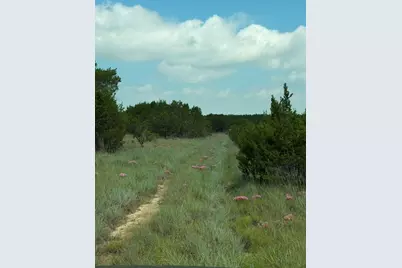 3828 W Fm 219, Hico, TX 76457 - Photo 39