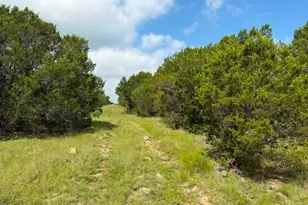 3828 W Fm 219, Hico, TX 76457 - Photo 1
