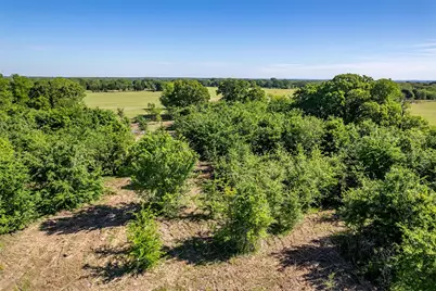 15834 County Road, Eustace, TX 75124 - Photo 25