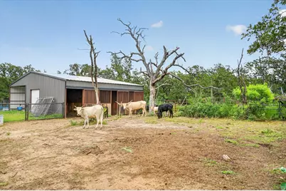 1017 County Road 3555, Paradise, TX 76073 - Photo 31