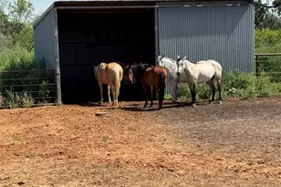 1017 Co Rd 3555, Paradise, TX 76073 - Photo 33