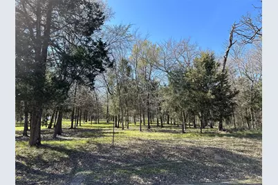 Tbd Shenandoah Drive #Lot 153-R, Streetman, TX 75859 - Photo 9