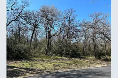 Tbd Shenandoah Drive #Lot 153-R, Streetman, TX 75859 - Photo 11