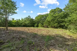 Tbd N Pecan St/U S Hwy 69, Bells, TX 75414 - Photo 1