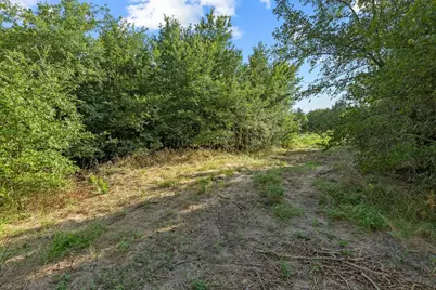 Tbd N Pecan St/U.S. Highway 69, Bells, TX 75414 - Photo 3