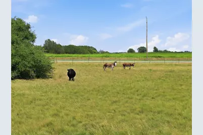 5835 N Fm 1744, Hico, TX 76457 - Photo 19