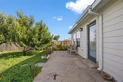 1209 Ash Street, Anna, TX 75409 - Photo 19