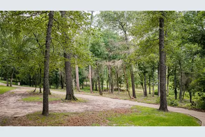 Tbd Naus Drive, Winnsboro, TX 75494 - Photo 13