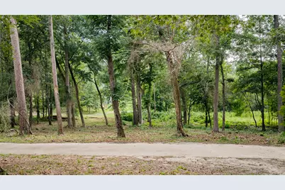 Tbd Naus Drive, Winnsboro, TX 75494 - Photo 3