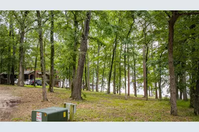 Tbd Naus Drive, Winnsboro, TX 75494 - Photo 9