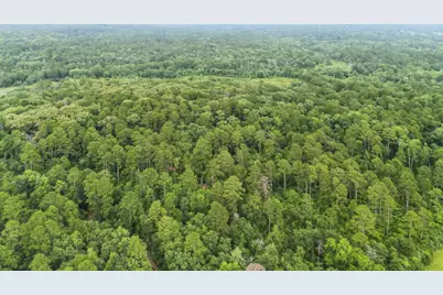 Tbd Valleywood Cove, Holly Lake Ranch, TX 75765 - Photo 19