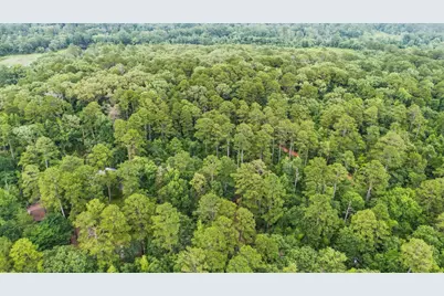 Tbd Valleywood Cove, Holly Lake Ranch, TX 75765 - Photo 21