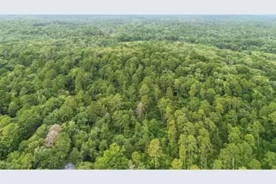 Tbd Valleywood Cove, Holly Lake Ranch, TX 75765 - Photo 25