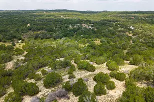 121 Spring Cove, Dripping Springs, TX 78620 - Photo 9