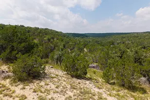 121 Spring Cove, Dripping Springs, TX 78620 - Photo 37