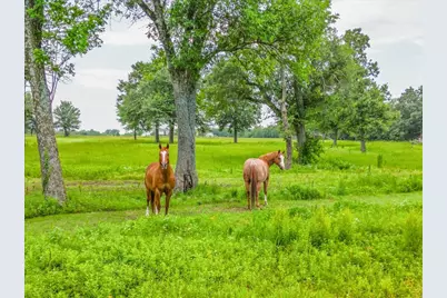 548 County Road 2301, Sulphur Springs, TX 75482 - Photo 33