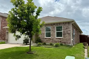 713 Cherry Blossom St, Anna, TX 75409 - Photo 3