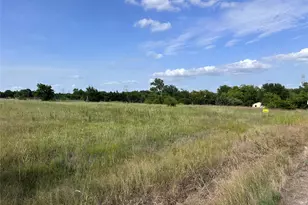 Lot 3R County Road 1077, Farmersville, TX 75442 - Photo 1