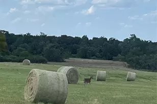 5770 W Hwy 199, Springtown, TX 76082 - Photo 29